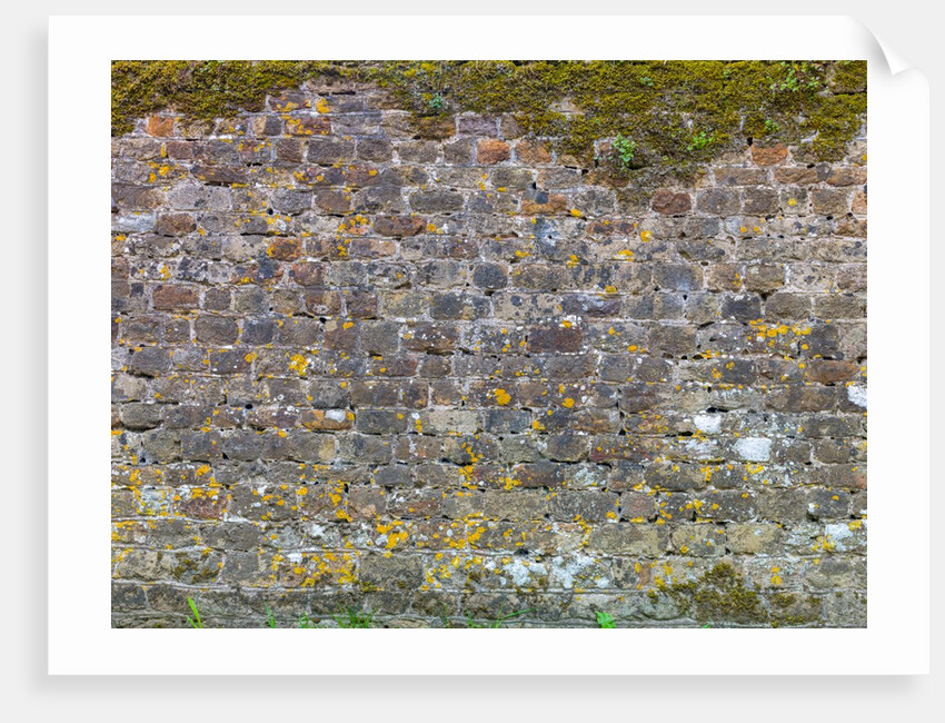 Old stone wall by Assaf Frank